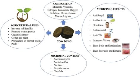 Granulated Cow Manure: 20 Ultimate Uses and Unconventional Benefits