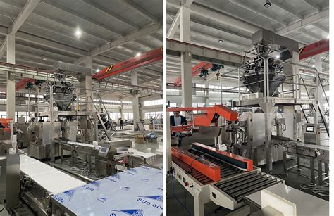 Granule Vertical Packing Machine: The Ultimate 3-in-1 Solution for Bulk Packaging