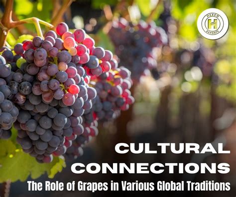 Grapes: A Global Staple