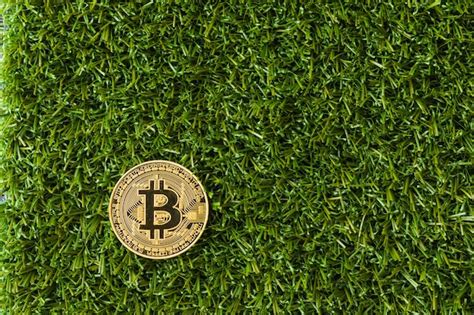 Grass Coin: The Future of Digital Currency