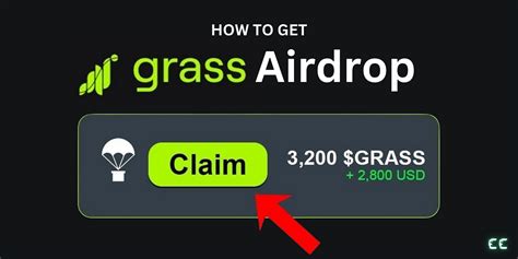 Grass Crypto: A Comprehensive Exploration