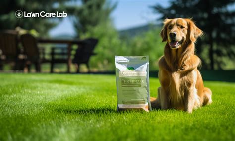 Grass Fertilizer Safe for Dogs: 5 Must-Know Facts