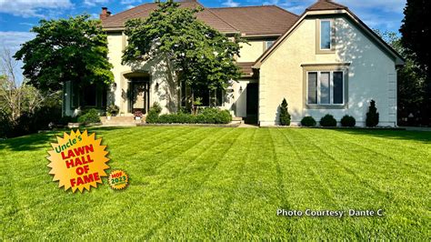 Grass Pad Near Me: Get Your 5,000+ Local Options Now