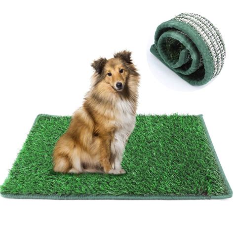 Grass Pads for Dogs: The 7 Essential Benefits You Need to Know