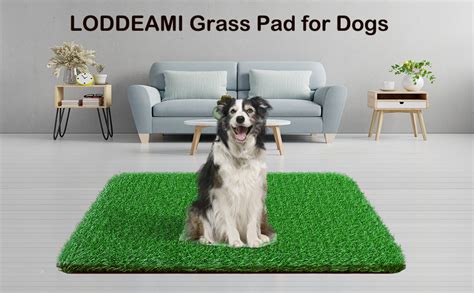 Grass Pee Pads for Dogs: The Ultimate Guide to Keeping Your Home Clean and Your Dog Happy