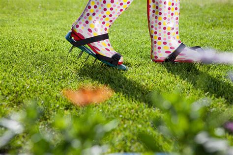 Grass Points: A Complete Guide to a Greener, Healthier Lawn