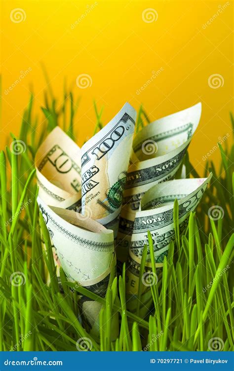 Grass Points to USD: A Greener Path to Financial Stability