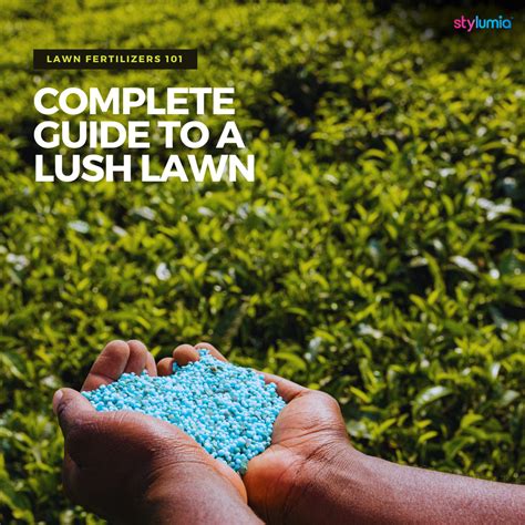 Grass Seed and Fertilizer: 101 for a Lush Green Lawn