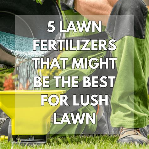 Grass with Fertilizer: A Gardener's Guide to a Lush, Healthy Lawn