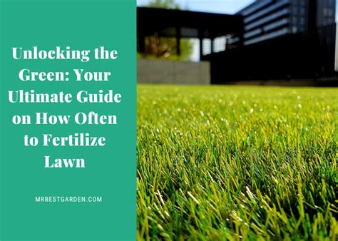 Grass with Fertilizer: The Ultimate Guide to Transforming Your Lawn