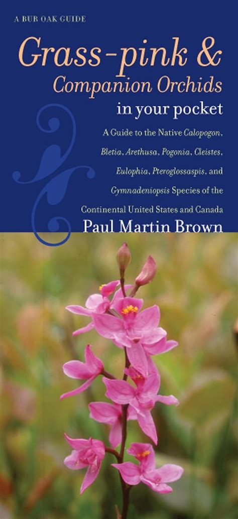 Grass-pinks and Companion Orchids in Your Pocket A Guide to the Native Calopogon Epub