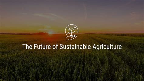 Grasscoin: The Future of Sustainable Farming