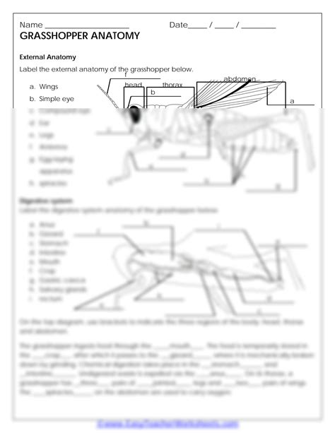 Grasshopper Anatomy Answer Key Kindle Editon