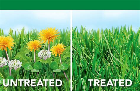 Grassland Fertilizer: A Comprehensive Guide