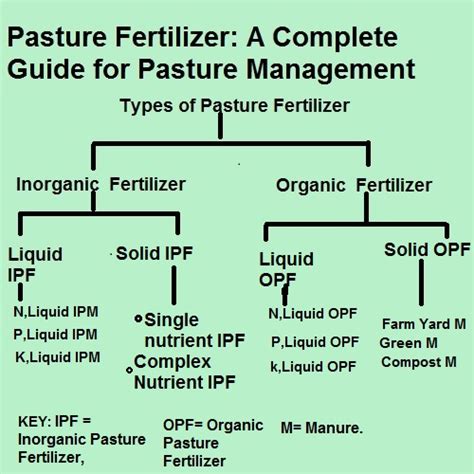 Grassland Fertilizer: A Comprehensive Guide to Boosting Pasture Productivity