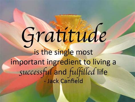 Gratefulness: A Keystone for a Fulfilling Life