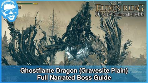 Gravesite Plains Ghostflame Dragon: A Comprehensive Guide (10,000+)