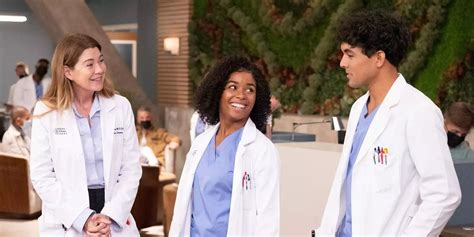 Gray's Anatomy Season 21: A Journey of Triumph and Resilience