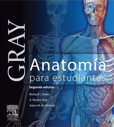 Gray Anatomia Para Estudiantes 2da Edicion Pdf Doc