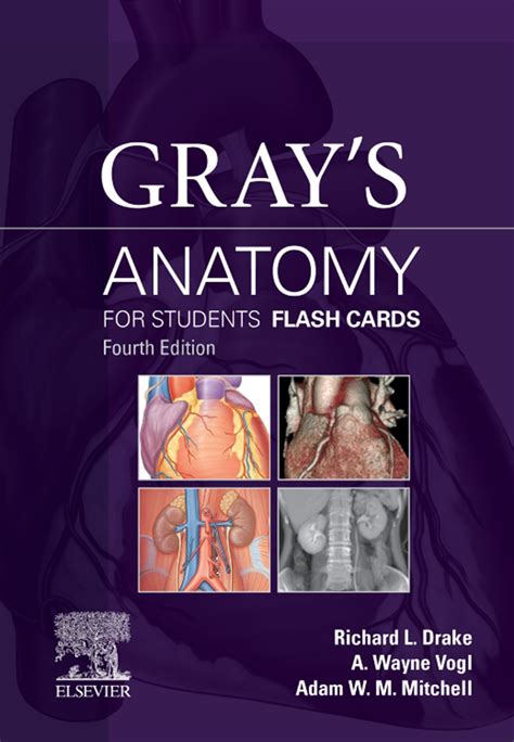 Gray s Anatomy for Students Flash Cards E-Book PDF