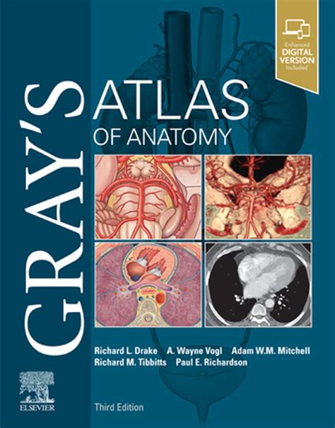 Gray s Atlas of Anatomy Kindle Editon