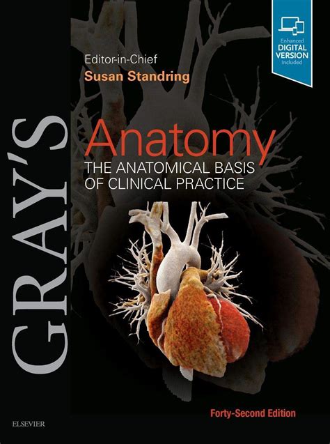 Grays Anatomy Anatomical Clinical Practice Epub