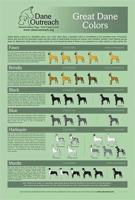 Great Dane Breeding Color Chart