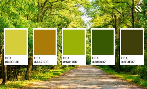 Green: The Color of Nature and Sustainability