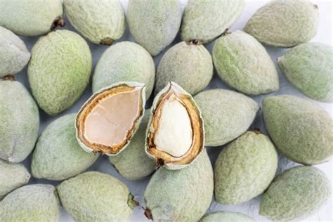 Green Almonds: A Nutritional Powerhouse