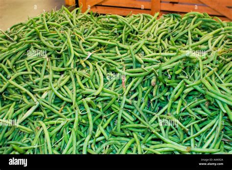 Green Beans: A Stringless Wonder