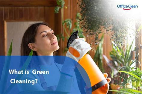 Green Cleaning The Ultimate Guide Epub