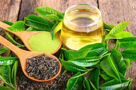 Green tea extract: