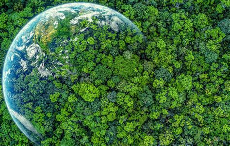 Greening of a Planet Epub