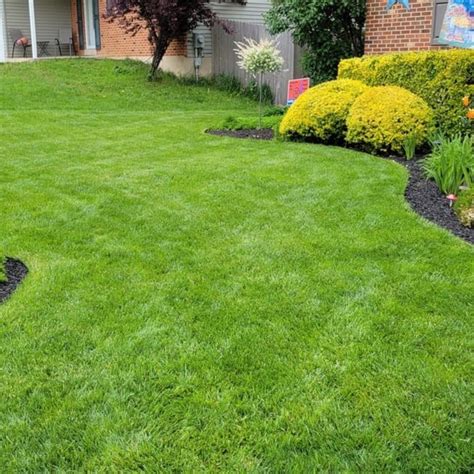 Greenlawn Fertilizer: What It Is and Why You Need It