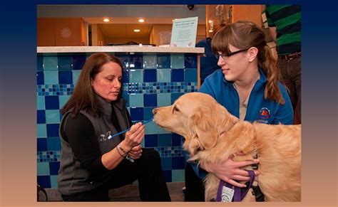 Greenwood Lake Animal Hospital: 10,000+ Characters of Pet Care Expertise