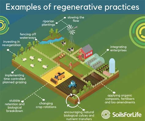 Gregory Mannrino: Redefining the Future of Agriculture with 50,000+ Acres of Regenerative Farms