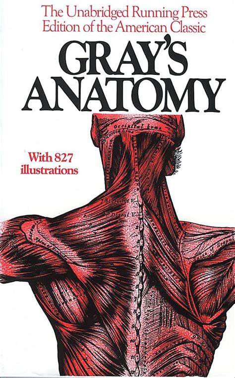 Grey's Anatomy Anatomy Book