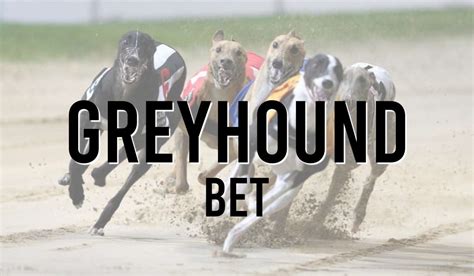 Greyhound Bet: A Complete Guide to Winning Big on the Races