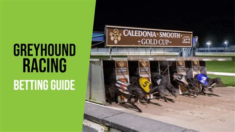 Greyhound Bet Racing Post: An Essential Guide to Betting on Greyhounds