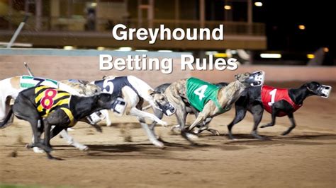 Greyhound Betting: A Lucrative Opportunity with High Potential Returns