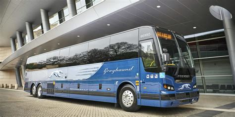 Greyhound Bus Silver Spring: A Gateway to Seamless Travel in Montgomery County