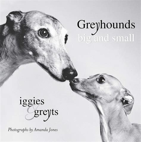 Greyhounds Big and Small Iggies and Greyts Reader