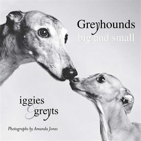 Greyhounds Big and Small Iggies and Greyts 1st Edition PDF