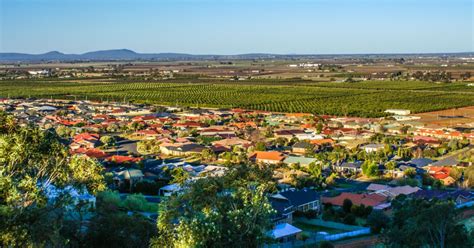 Griffith Markets: A Cultural and Culinary Experience