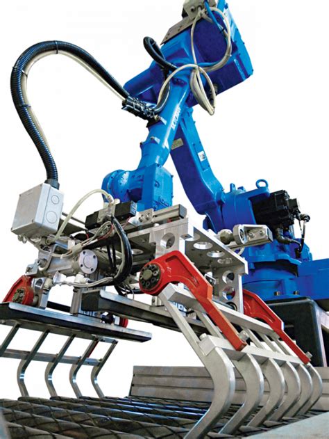 Gripper Robots: The Future of Industrial Automation
