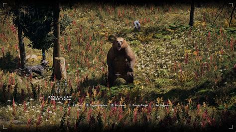 Grizzly Bear: A Formidable Predator in Far Cry 5