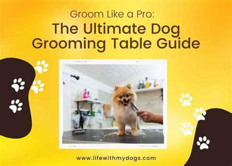 Groom Buddy For Dogs: The Ultimate Guide to Canine Grooming