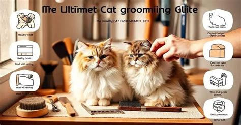 Grooming Cat Near Me: The Ultimate Guide to Cat Hygiene