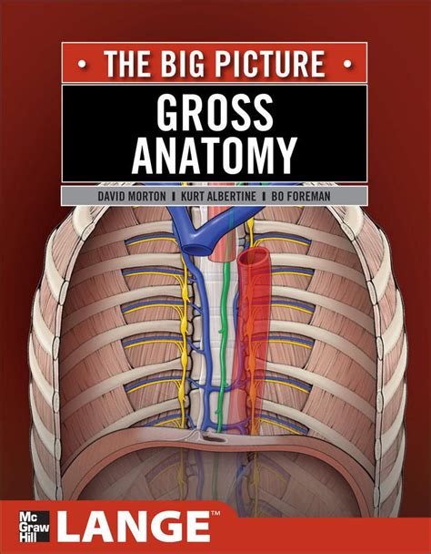 Gross Anatomy: The Big Picture (LANGE The Big Ebook Kindle Editon