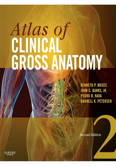 Gross Anatomy 2nd Edition Reader